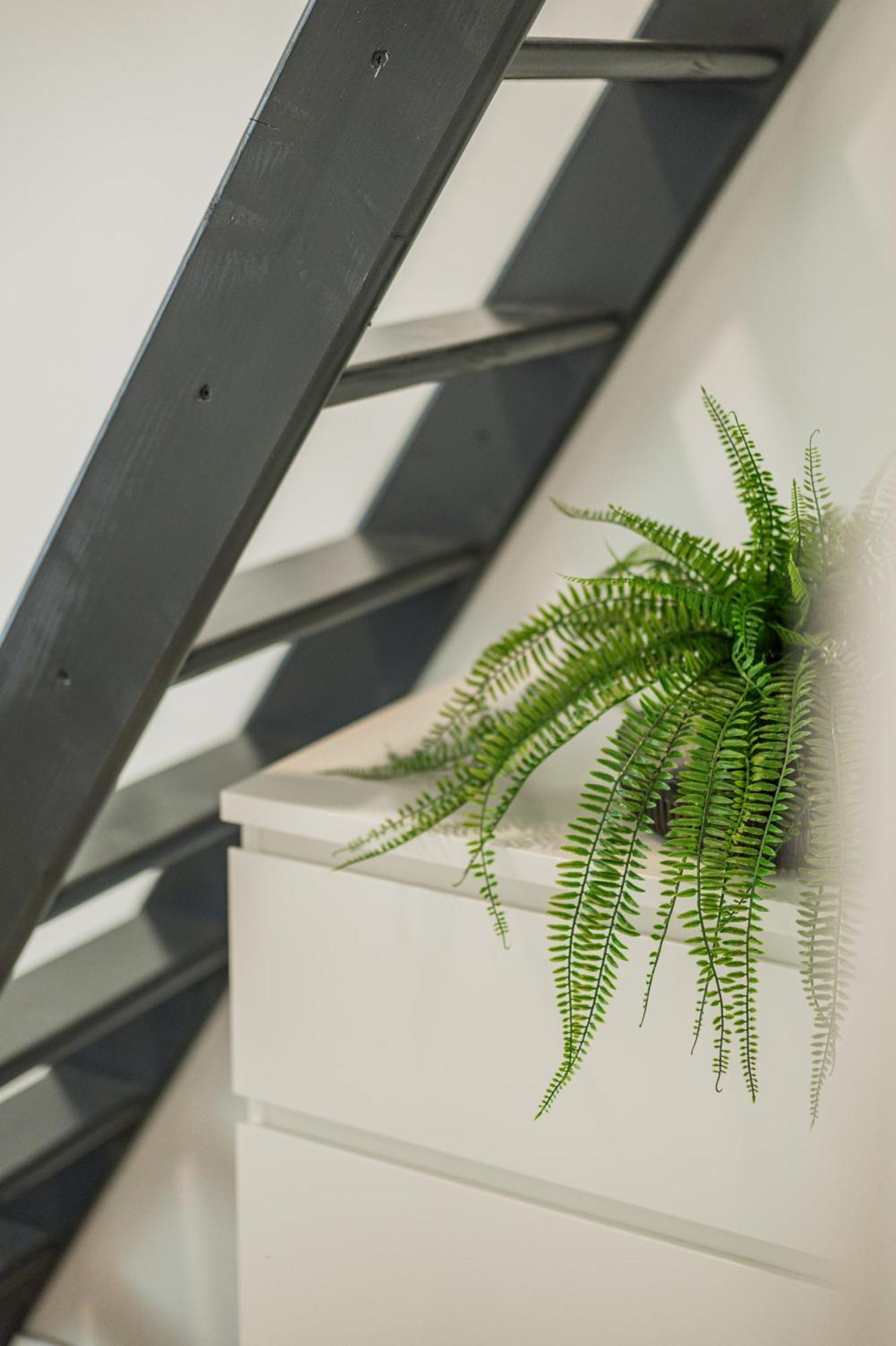 Chic Central City Rooms By Home2 Wien Eksteriør bilde